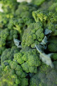 Close-up of fresh green broccoli heads, highlighting texture and natural color.